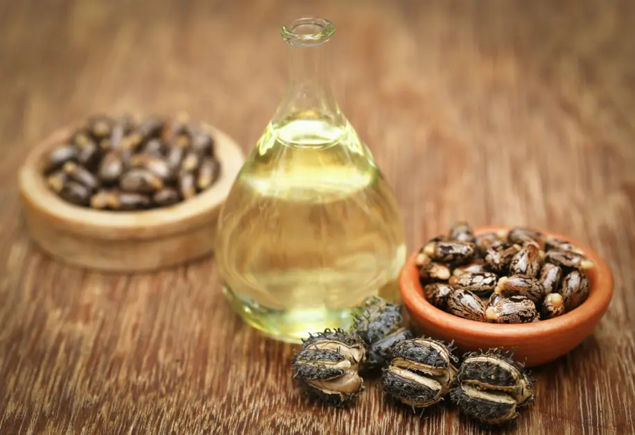 Castor Oil – Trusted Manufacturers & Bulk Suppliers in Portugal